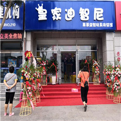 做兒童玩具項目，皇家迪智尼玩具店值得推薦加盟！