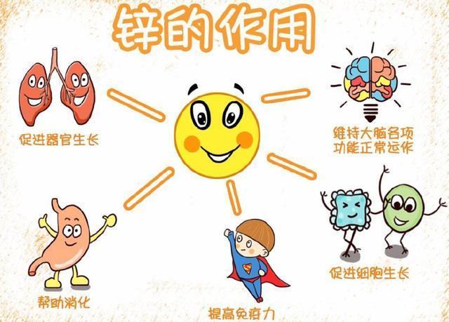 “鋅”對孩子的成長至關(guān)重要，常吃以下幾種“補鋅”事物