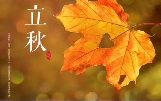皇家迪智尼 I 今日秋分，這些知識告訴孩子！