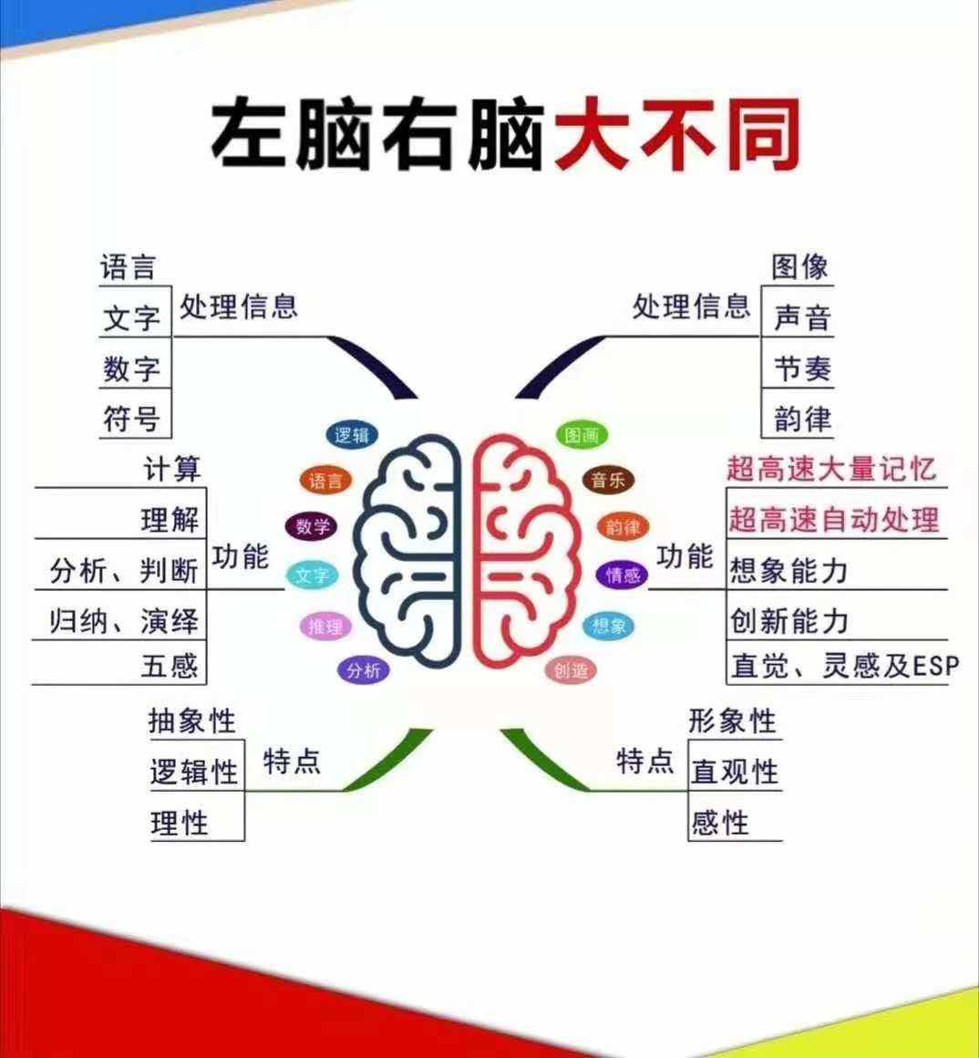 皇家迪智尼 I 你知道嗎？孩子的智商高低受到許多因素的影響！