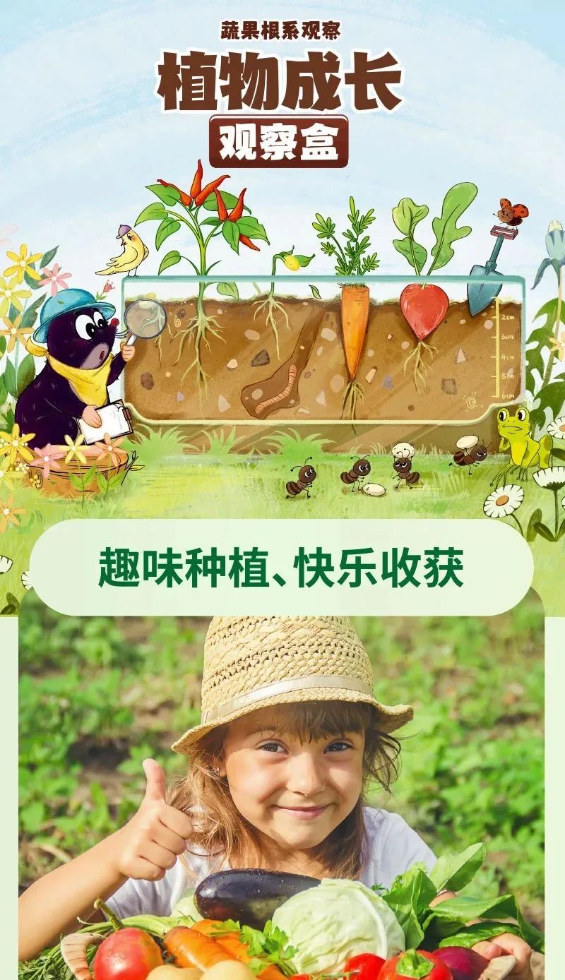 皇家迪智尼 I 兒童益智手工家庭園藝，爆款類手工種植攻略！
