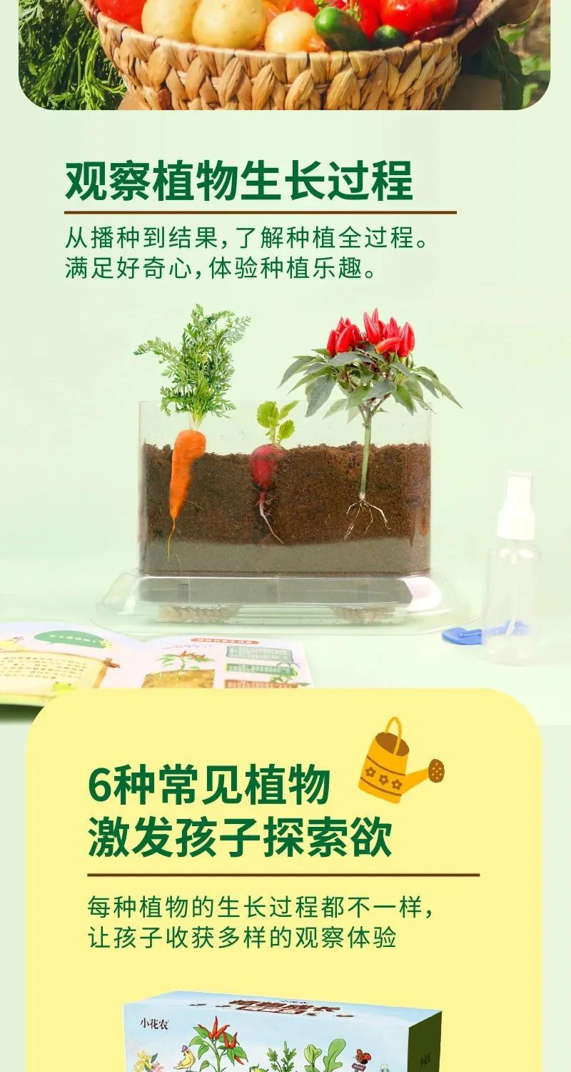 皇家迪智尼 I 兒童益智手工家庭園藝，爆款類手工種植攻略！