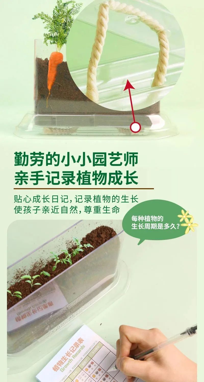 皇家迪智尼 I 兒童益智手工家庭園藝，爆款類手工種植攻略！