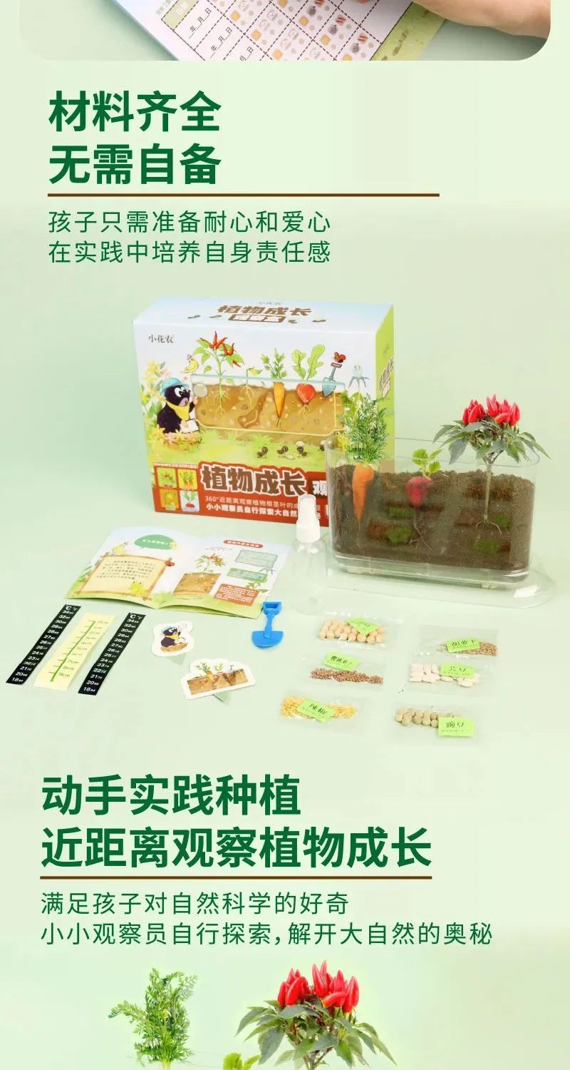 皇家迪智尼 I 兒童益智手工家庭園藝，爆款類手工種植攻略！