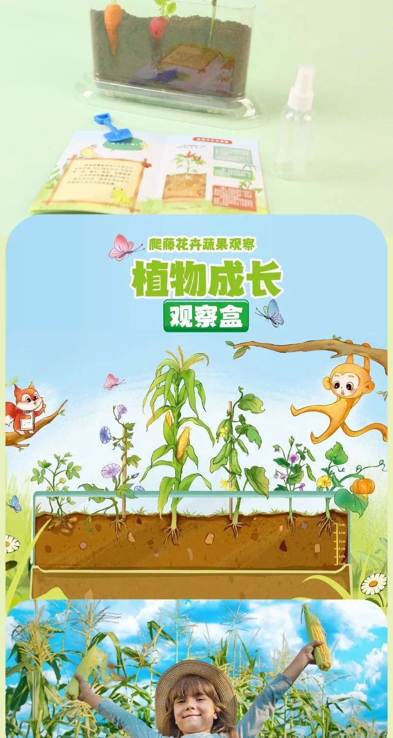 皇家迪智尼 I 兒童益智手工家庭園藝，爆款類手工種植攻略！