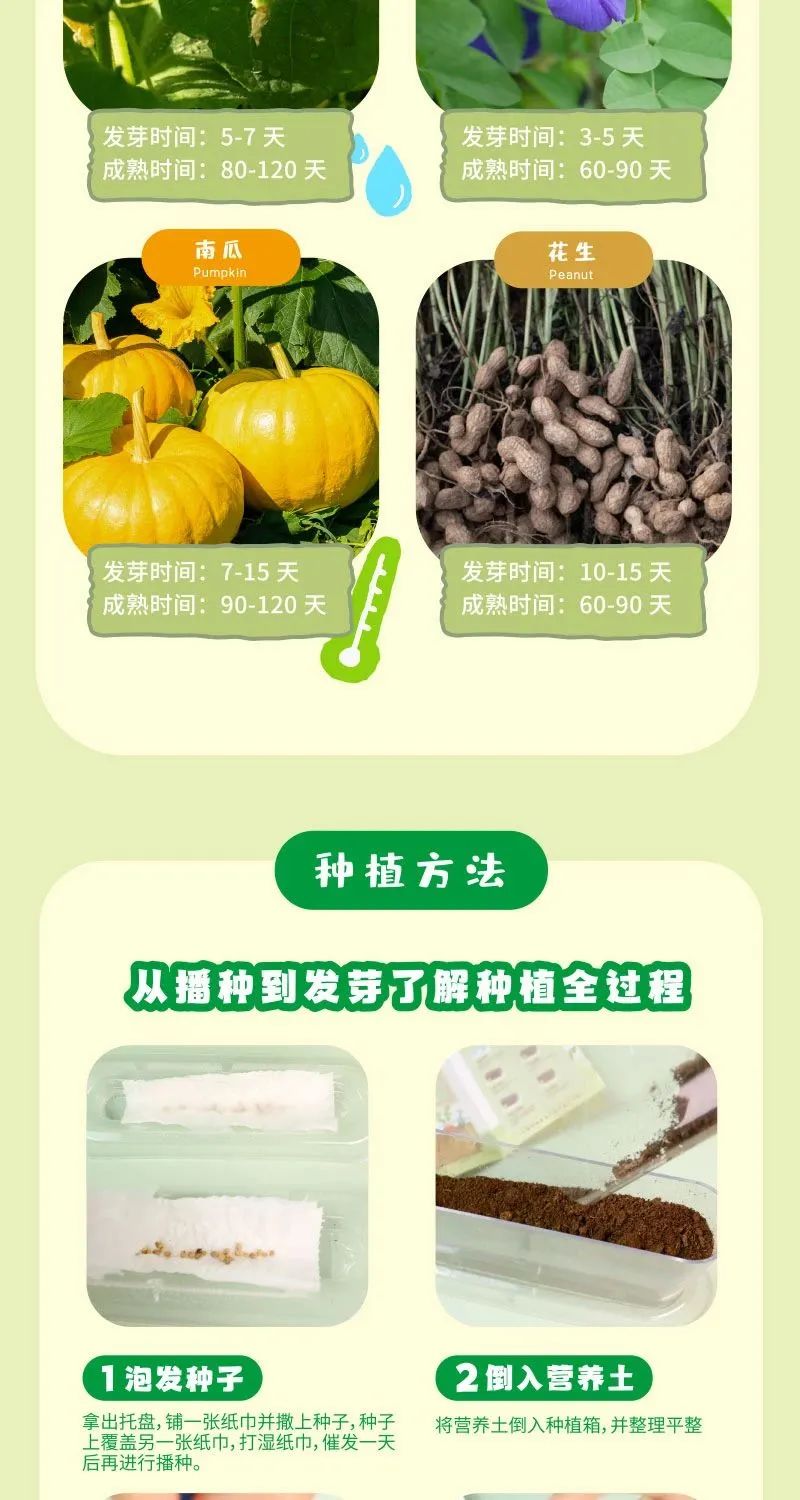 皇家迪智尼 I 兒童益智手工家庭園藝，爆款類手工種植攻略！