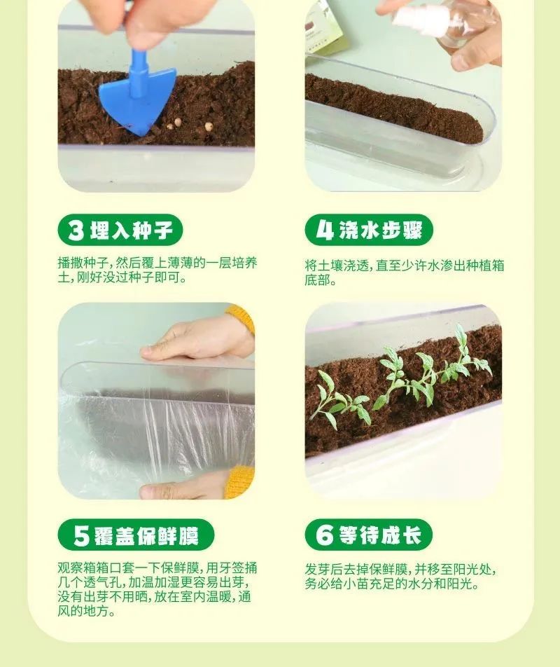 皇家迪智尼 I 兒童益智手工家庭園藝，爆款類手工種植攻略！